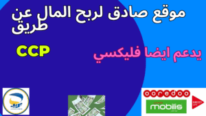 Read more about the article موقع صادق لربح المال عن طريق CCP