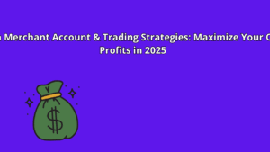 Read more about the article Bitcoin Merchant Account & Trading Strategies: Maximize Your Crypto Profits in 2025